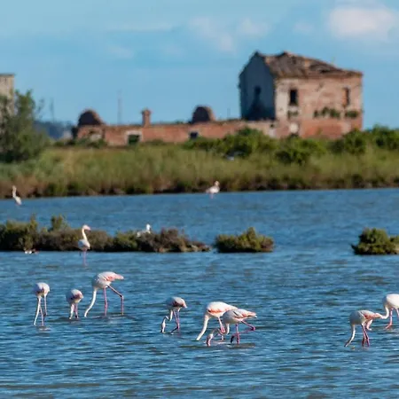 Ca' Savio Terramare شقة