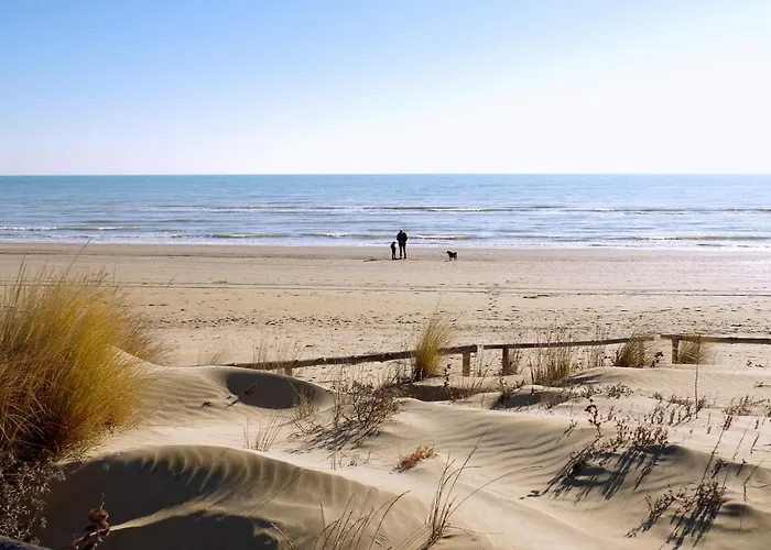 Ca' Savio Terramare Apartment *