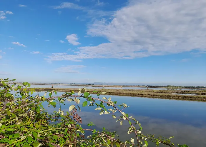 Ca' Savio Terramare Apartment *